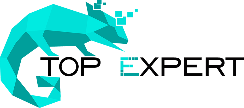 логотип Top expert